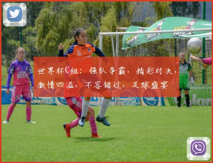 世界杯C组：强队争霸，精彩对决，激情四溢，不容错过，足球盛宴