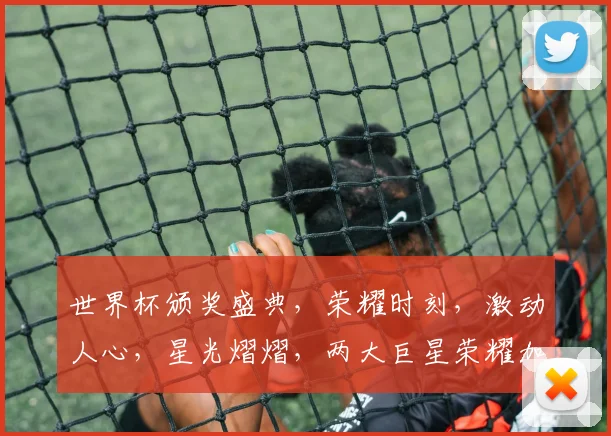 世界杯颁奖盛典，荣耀时刻，激动人心，星光熠熠，两大巨星荣耀加冕