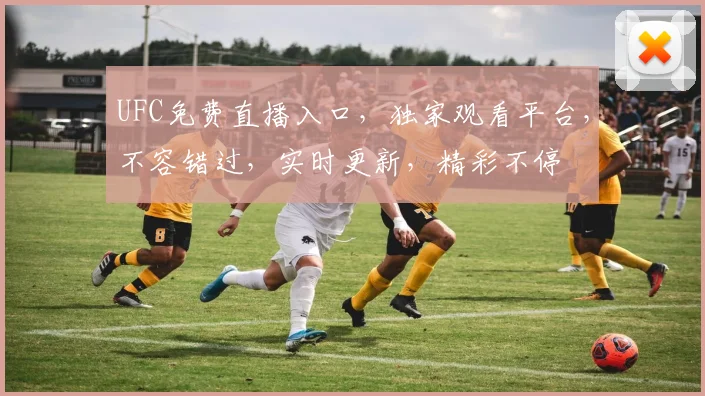 UFC免费直播入口，独家观看平台，不容错过，实时更新，精彩不停