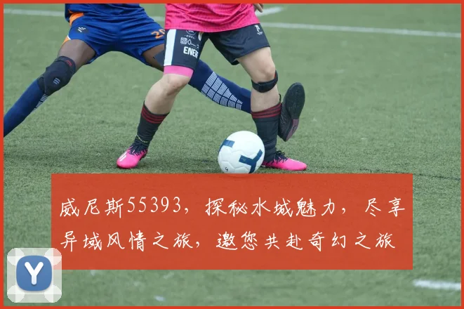 威尼斯55393，探秘水城魅力，尽享异域风情之旅，邀您共赴奇幻之旅