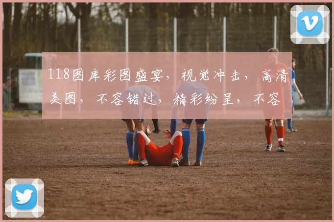 118图库彩图盛宴，视觉冲击，高清美图，不容错过，精彩纷呈，不容错过